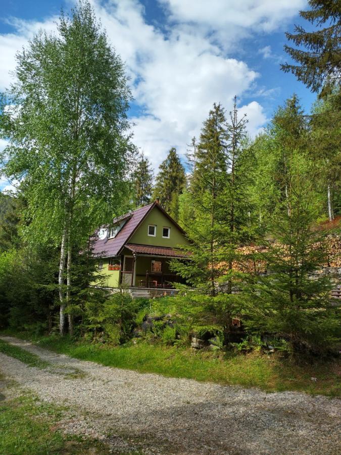 Green House Gyergyószentmiklós Kültér fotó