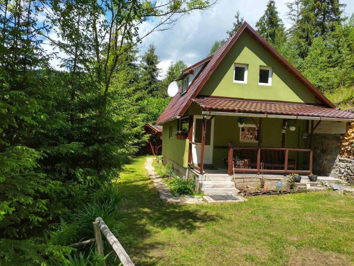 Green House Gyergyószentmiklós Kültér fotó
